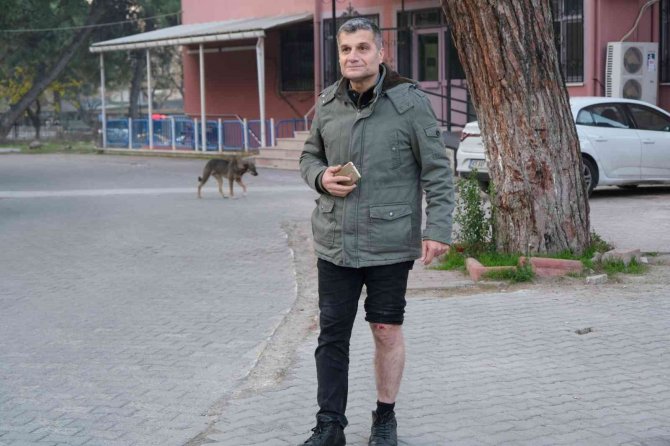 Köpeklerin Saldırısına Uğrayan Bir Kişi Düşerek Yaralandı