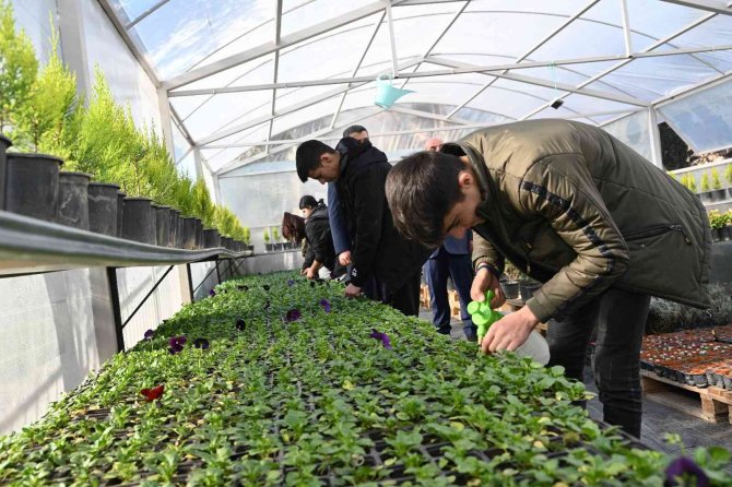 Türkiye Tarımının Yeni Gücü