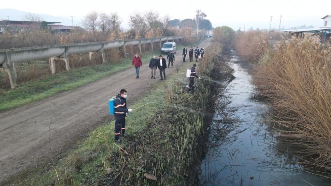 Nazilli Belediyesi’nden Larva İle 365 Gün Mücadele