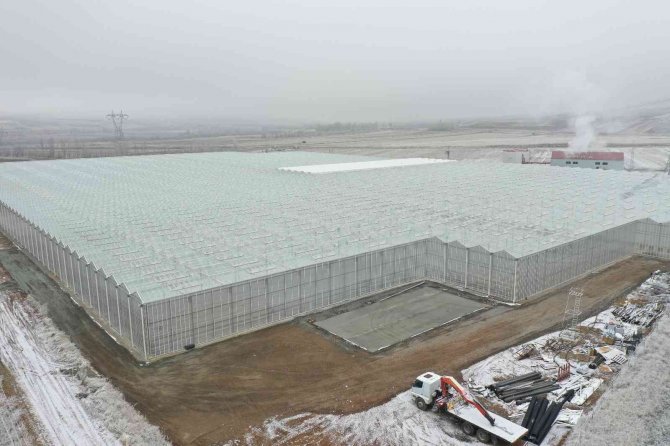 Bu Proje, Dünyayı Tehdit Eden Kuraklığa Karşı Umut Oldu