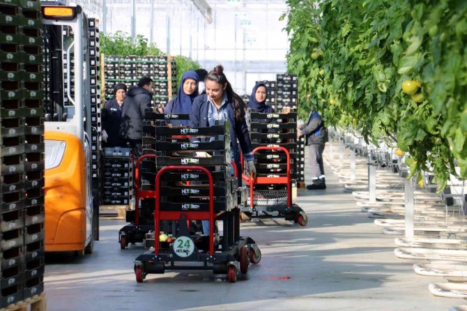 Bu Proje, Dünyayı Tehdit Eden Kuraklığa Karşı Umut Oldu