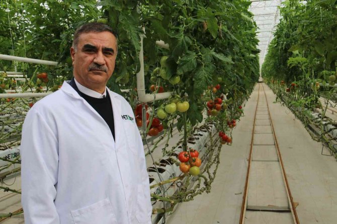 Bu Proje, Dünyayı Tehdit Eden Kuraklığa Karşı Umut Oldu