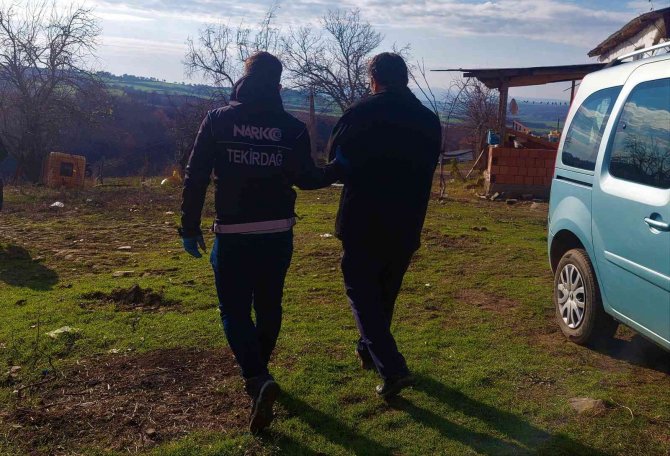 Köyü Esrar Tarlasına Çeviren Zanlı Tutuklandı