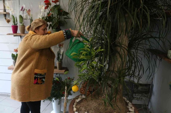 Yılbaşı Öncesi Çiçekçiler Doldu Taştı