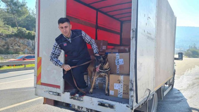 24 Saatte 15 Bin Araç Girdi