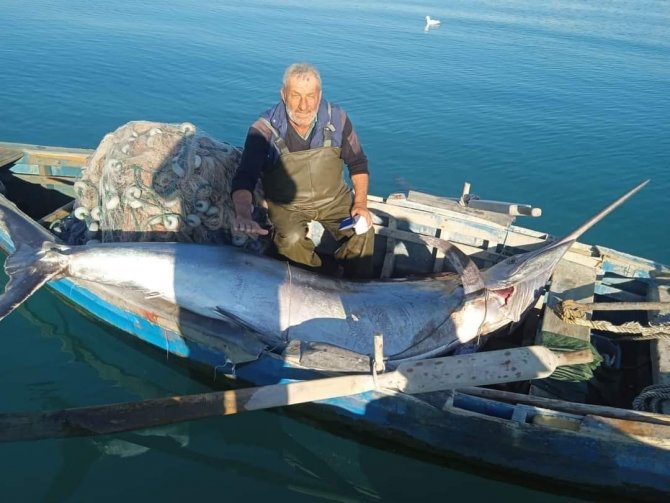 Balıkçı Ağlarına “Blue Marlin” Balığı Takıldı