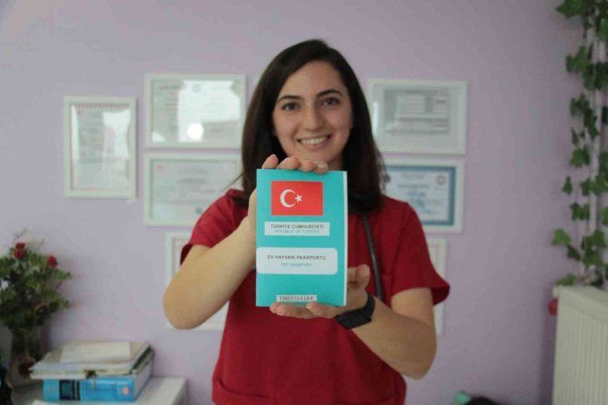 Evcil Hayvanlara Çip Zorunluluğunda Son Gün Yoğunluğu