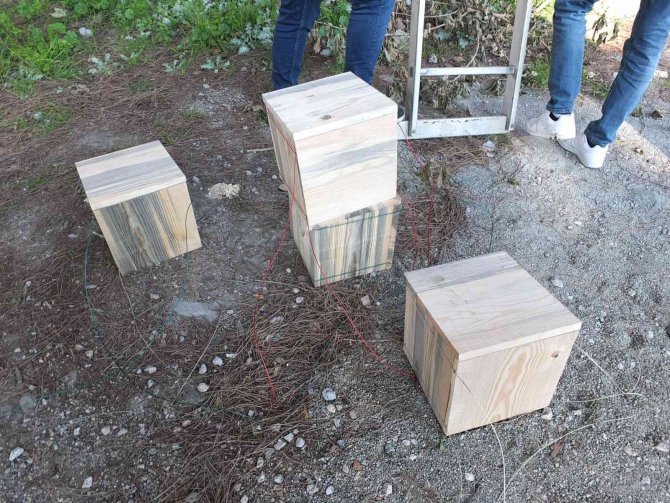 Balıkesir’de Üniversiteli Gençler Sincaplara Yuva Yaptı