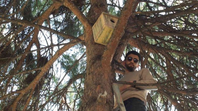 Balıkesir’de Üniversiteli Gençler Sincaplara Yuva Yaptı