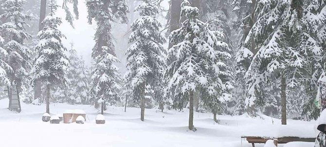 Düzce’nin Yüksek Kesimlerinde Kar Kalınlığı 25 Santimetreye Ulaştı