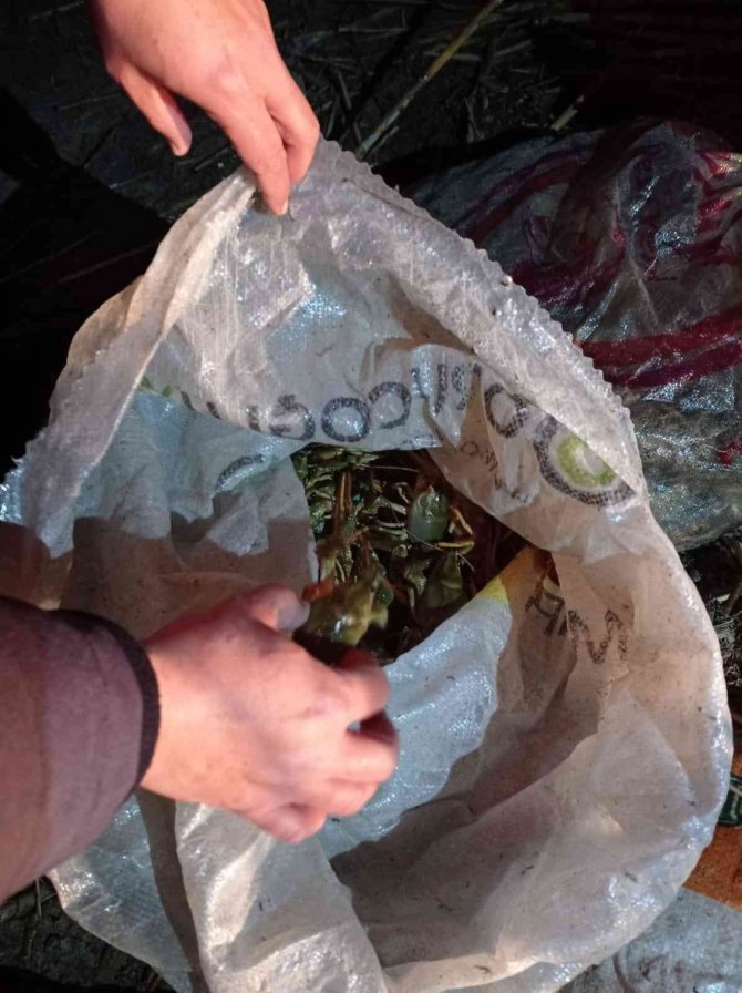 Eğirdir Gölü’nde Kaçak Kerevit Avı Baskını