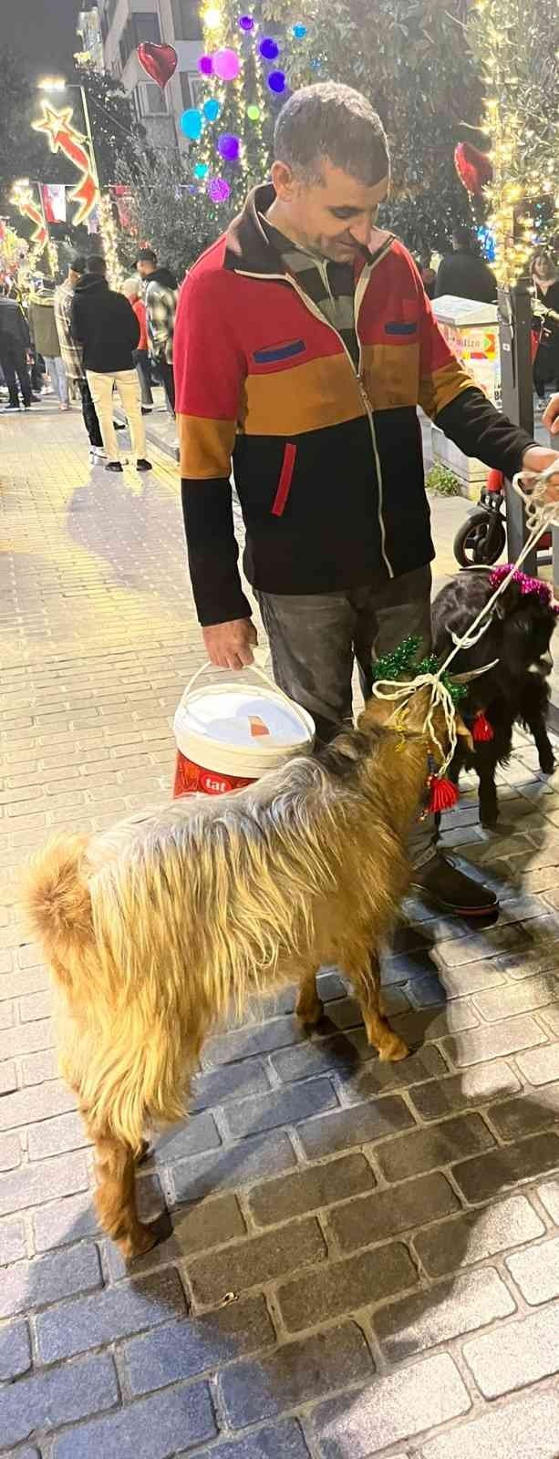 Nişantaşı’nda Süslenmiş Keçiler Yılbaşı Maskotu Oldu