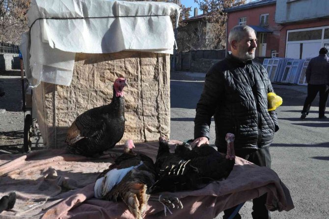 Kars’ta Yılbaşı Hindileri El Yakıyor