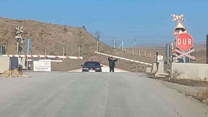 2 Dakika Treni Beklemedi, Canını Hiçe Saydı: Bariyeri Kaldıramayınca Arasından Geçti