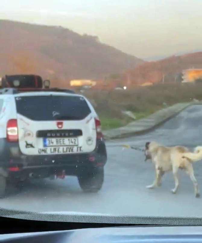 Boğazına İp Bağladığı Köpeği Metrelerce Sürükledi