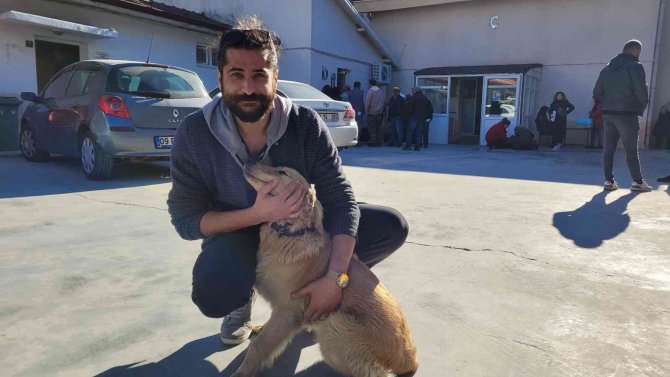 Efeler’de 3 Bin Evcil Hayvan Çiplendi