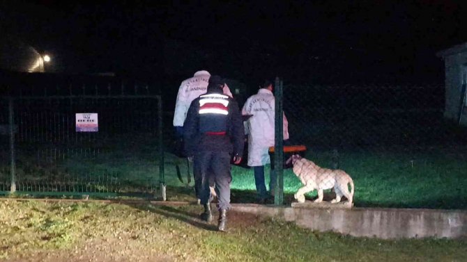 Düzce’de Alacak Verecek Kavgasında 1 Kişi Vuruldu