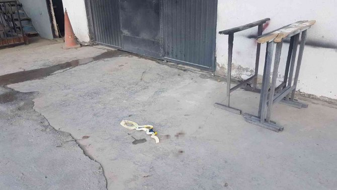 Ayakkabısını Alıp Kaçan Köpeğin Peşinden Gitmişti, Feci Olayda Hayatını Kaybetti