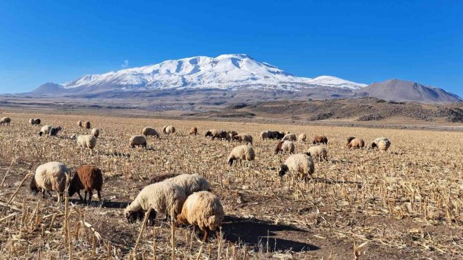 Bahar Havası Çiftçilere Yaradı