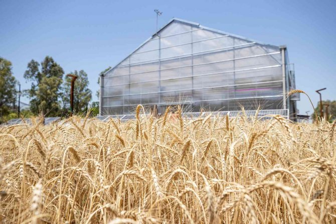 İ̇zmir Tarımı Geliştirme Merkezine Ödül