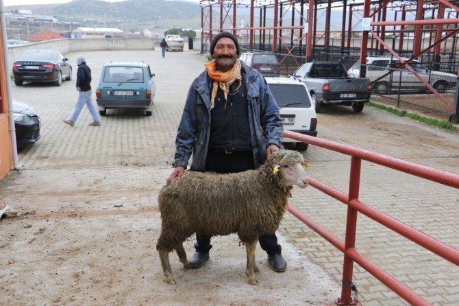 Manisa Büyükşehir Belediyesinden Üreticiye Damızlık Koç Ve Teke Desteği
