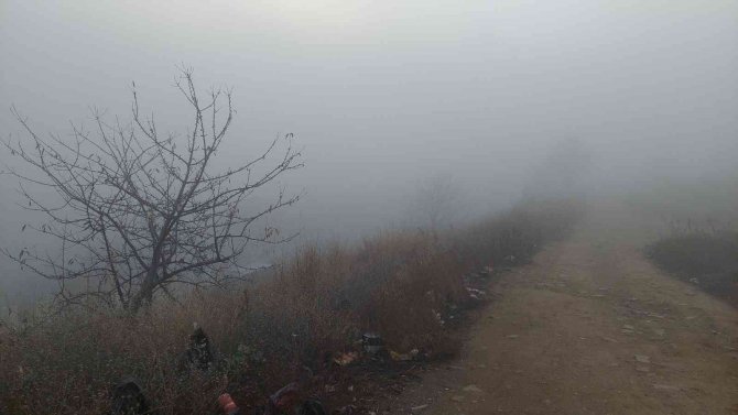 Marmara’da Sis Etkili Oldu