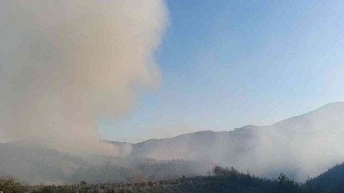 Osmaniye’de Orman Yangını