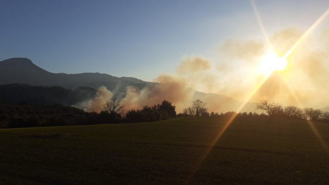 Osmaniye’de Orman Yangını