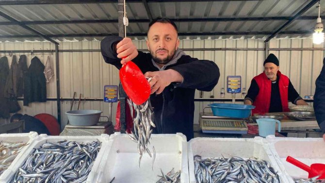 Zonguldak’ta Hamsi Bereketi