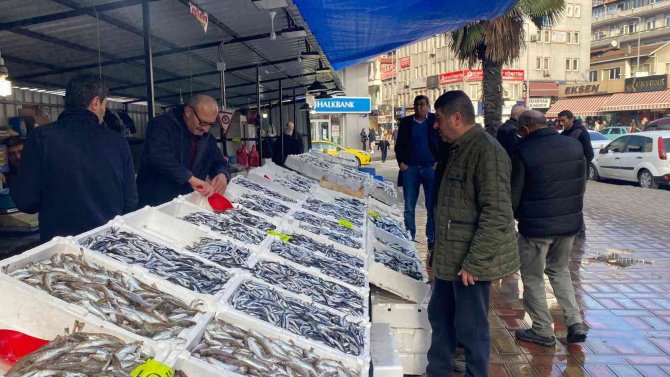 Zonguldak’ta Hamsi Bereketi