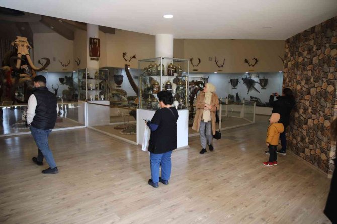 Gaziantep’te Yırtıcı Hayvanlar İçin Safari Park Kurulacak