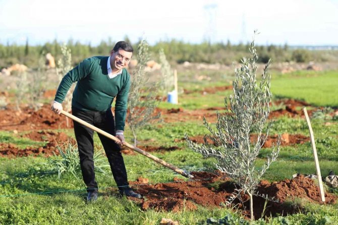 Zeytin Çiftliğinden Elde Edilecek Gelirin Tamamı 35 Bin Öğrenciye Burs Olacak