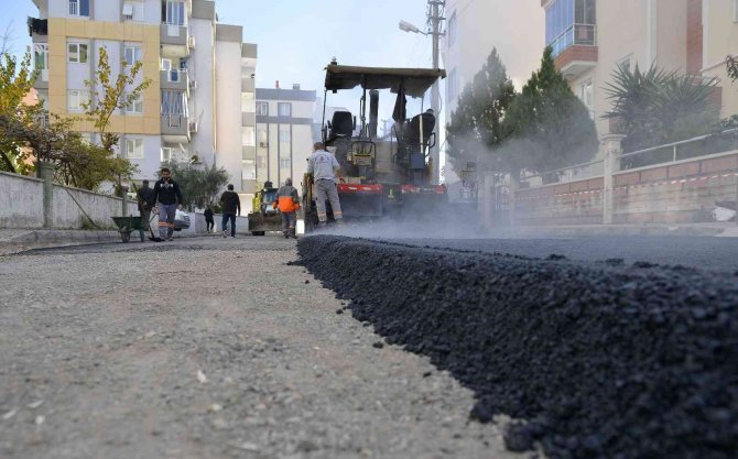 Gebizli’de Hummalı Çalışma