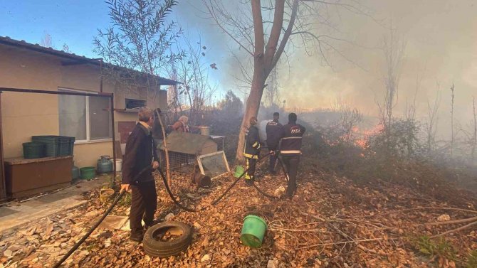 Antalya’da Evleri Tehdit Eden Sazlık Yangını