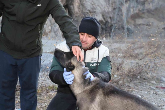 Hakkari’de Rafting Botuyla Köpek Kurtarma Operasyonu