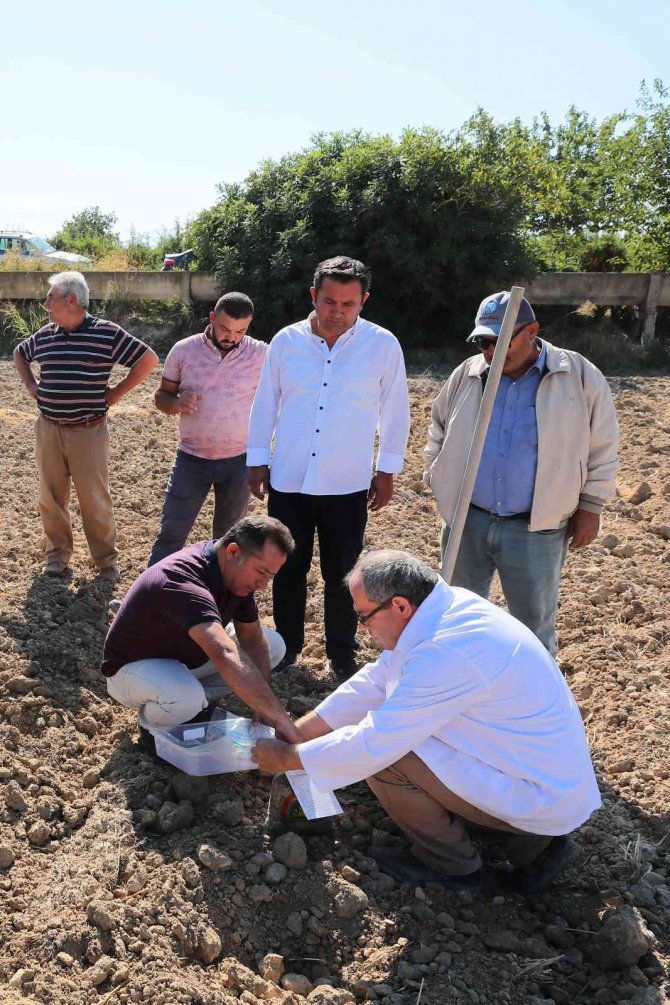 Denizli’de ‘Toprağını Tanı’ Projesinde 1250 Toprak Analizi Yapıldı