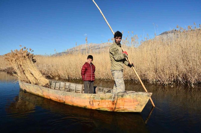 Gökgöl’ün Saz Otu Avrupa’ya İhraç Ediliyor