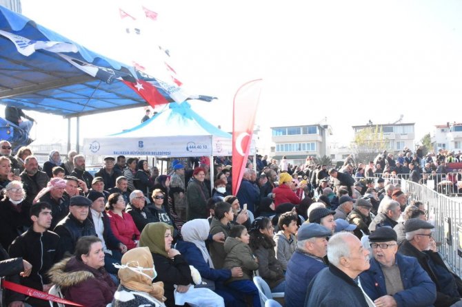 7. Geleneksel Edremit Deve Güreşleri Festivali Yapıldı