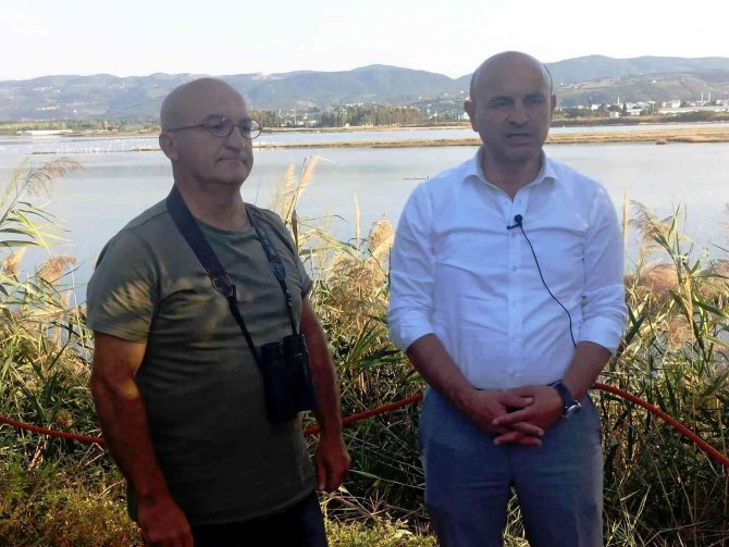 Hersek Lagünü’ndeki Kuş Türü Sayısı 250’ye Ulaştı