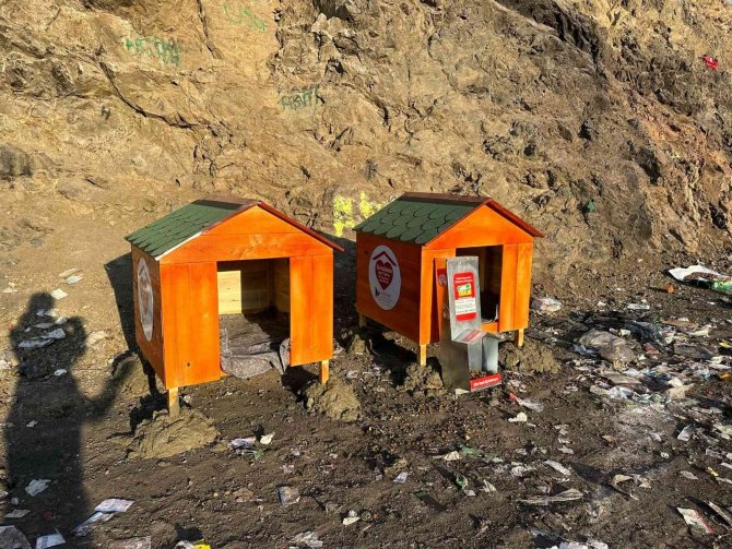 Haytap’tan Yüksekova’daki Sokak Hayvanları İçin Kulübe Yardımı