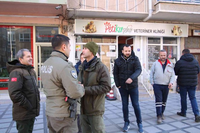 Kedileri, ’Aşk Ve Bağlama’ Büyüsü İçin Kesmişler