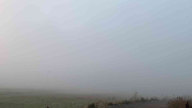 Darıca’da Sis Etkili Oldu