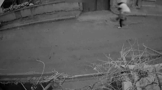 Önce Güvenlik Kamerasına Ardından Polise Yakalandılar
