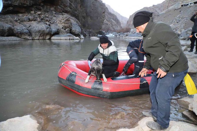 Hakkari’de Rafting Botuyla Köpek Kurtarma Operasyonu