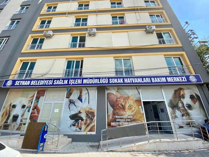 Seyhan’da Bin 236 Sokak Kedisini Ücretsiz Olarak Kısırlaştırdı