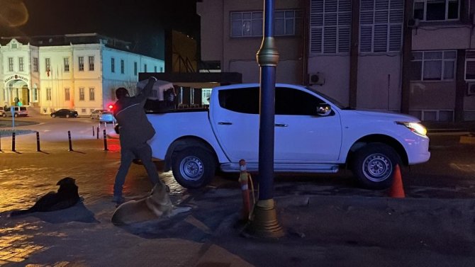 Yaralı Halde Bulunan Martı Tedavi Altına Alındı