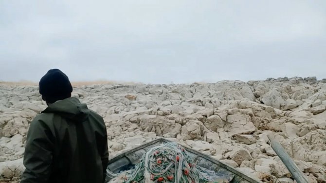 8 Yıldır Küçük Bir Adanın Tek Tilkisini Besliyor