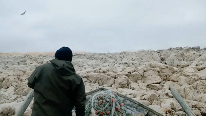 8 Yıldır Küçük Bir Adanın Tek Tilkisini Besliyor