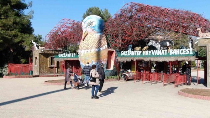 Gaziantep’te Yırtıcı Hayvanlar İçin Safari Park Kurulacak