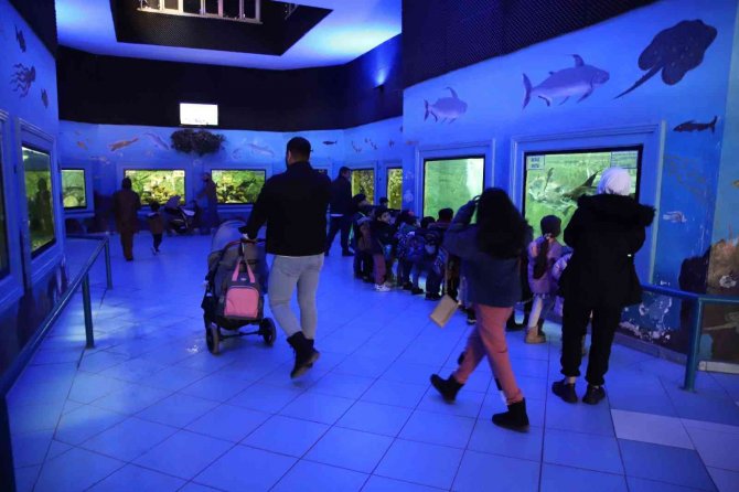 Gaziantep’te Yırtıcı Hayvanlar İçin Safari Park Kurulacak